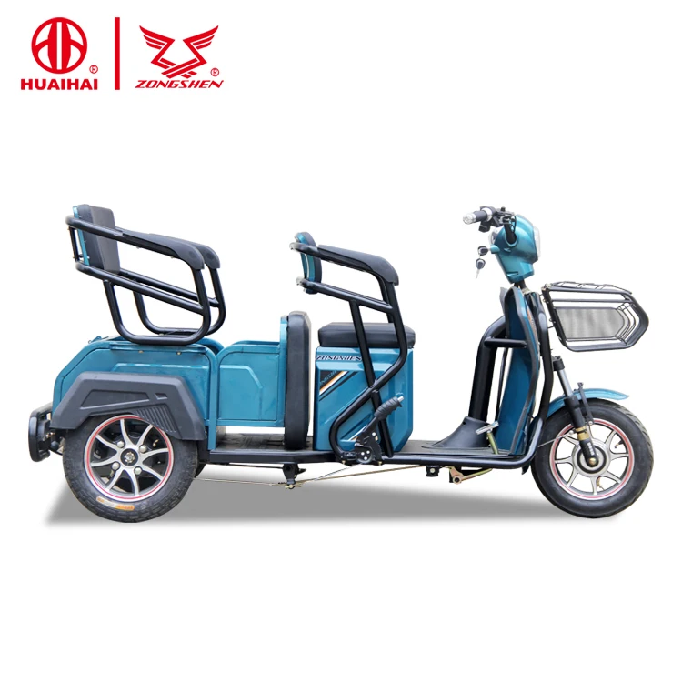 3 Three Wheel Adult 3 Wheel Electric Passenger Bicycle 60v650w China