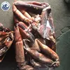 Frozen Black Squid Frozen On Board Squid 200G up