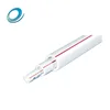 Sizes mm to Inch Hot Water Used PPR Pipes Price List in the Philippines