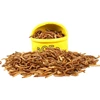edible insects Dried Mealworms for high protein human food
