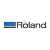 Original Roland SJ-740 Sheet Linear Scale - 22665276