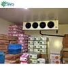 controlled atmosphere cold storage room for 700 tonfish china pu cold room panel