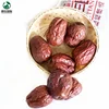 High quality hetian red dates chinese big honey soft dried jujube