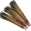 20-22inch 50-55cm natural color ringneck pheasant tail