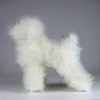 Opawz Toy poodle model dog whole body wig high density dog hair for dog mannequin model