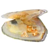 Loose olive green zircon oysters 8mm*8mm three shapes of zircon are transported in vacuum-packed oysters