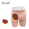 Buttocks Intramuscular Injection and Anatomical Structure Model Hip Model for Injection Training