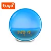Electronic APP remote control child sunrise alarm clock with led night light