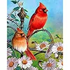 DIY Diamond painting by Number kits ,full drill diamond bird ,flowers painting for home artwork decoration