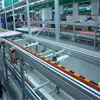 Loading And Unloading Conveyos For Gas Spring Assembly Line