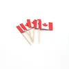 New style fashion super quality toothpick flag with logo