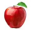 first class kashmiri apples export quality