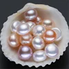 8-9mm AAA grade best natural real price wholesale loose fresh water cultured freshwater integrity pearl