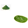 ZD Hot Selling chlorella enhance the immune function