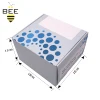 Factory Quality Exquisite Supplier T-shirt Kraft Server Boxes Custom Printed Shipping Box