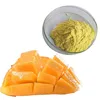 100% Pure Natural Best Price Bulk Freeze Dried Mango Fruit Juice Powder