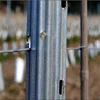 High Performance Metal Vineyard Post