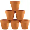 wholesale small cheap garden mini succulent plants terracotta flower pots