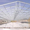 Steel structure farm broiler poultry shed construction design chicken house