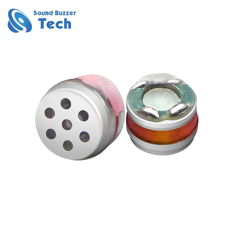 earphone speaker