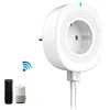 Alexa smart plugs wifi plug eu socket 2 USB Ports Timing Function cheap smart plug remote control EU/US/FR
