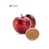 Apple fruit powder dl malic acid