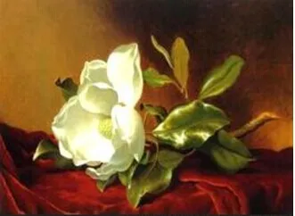 HTB1N69HGFXXXXbhXVXXq6xXFXXXK