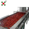 Strawberry Fruit Frozen Production Line/fruit Freezing Processing/Quick Freezing Strawberry Plant