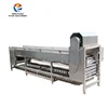 Mango Kiwi Fruit grading machine,Different size fruit Sorting machine