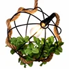 Creative hydroponic personality plant chandelier glass lampshade aisle restaurant balcony corridor clothing shop window light