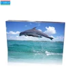 High Definition Indoor Full Color 256x128mm P4 LED TV Show Display Panel Module