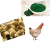GMP factory best selling blue algae extract spirulina, chicken powder for animal feed