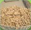Dried Whole and Split Dry Ginger