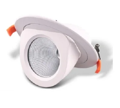 
LED Trunk Down Light BCL601 