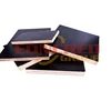 Birch Main Material and Outdoor Usage film faced plywood from linyi