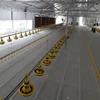 Self assembled ready made mechanized egg layer poultry farming in kerala