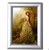 Graphic easy change silver snap on frames, aluminum clip frame A4