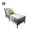 Spinach tomato dates bean sprout cleaner lettuce pepper apple carrot cleaning machine