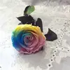 Wedding Valentine's Day present preserved rose head with stem