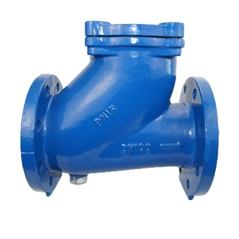 Pn16 Dn100 Cast Iron Type Rubber Non Return Valves Price Ball Check ...