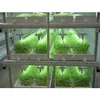 Automatic hydroponics microgreen grow system fodder tray