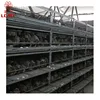 Newly developed shed breed H type single sided quail cage