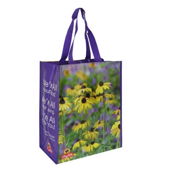 reusable promo bags