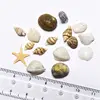 1 Box Ocean Style 3D Shell Conch Shape Beads Nail Art Tips Shell Slices For Nail Art Decoration