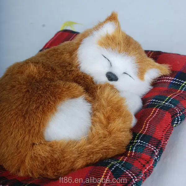 sleeping stuffed cat