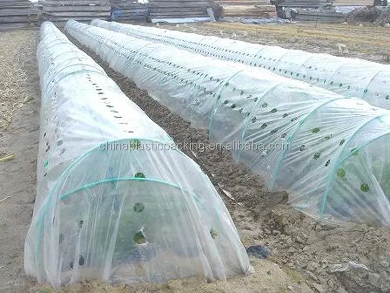 Pe Plastic Low Tunnel Film With Holes For Agriculture And Plantation