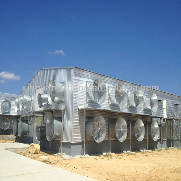prefabricate steel structure large chicken houses