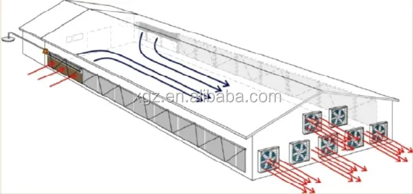 automatic poultry control farm for broiler and chicken house