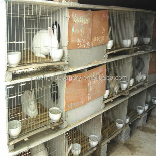 Fair Price And Best Selling Cheap Rabbit Breeding Cage Buy Rabit
