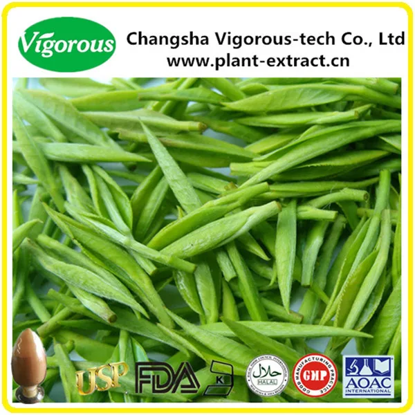 green tea extract